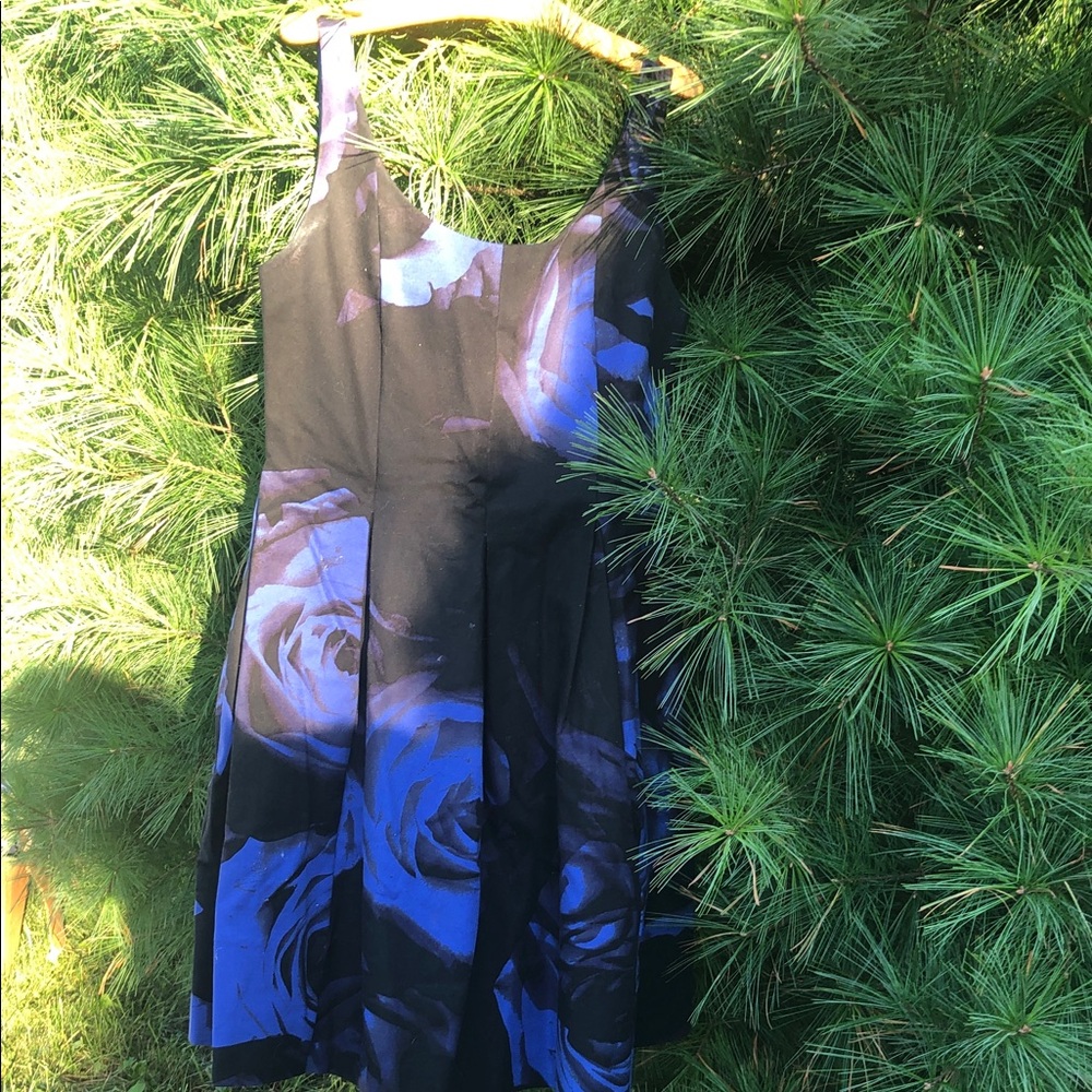 Blue roses black dress with pockets